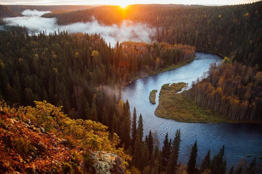 Mitä tietoa Stora Enson Itä-Suomen hankinta-alueesta löytyy
