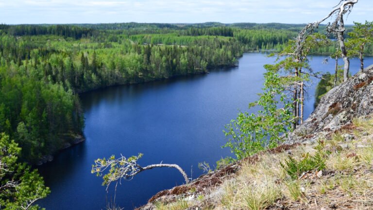 suomalainen luonto jarvi ja metsa yhdistavat kulttuurin